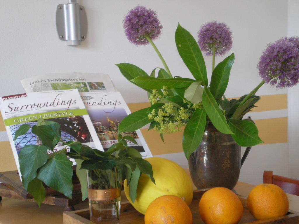 Ginkgo Hotel Oberursel Extérieur photo